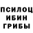 Галлюциногенные грибы Cubensis Demid Zvanarev