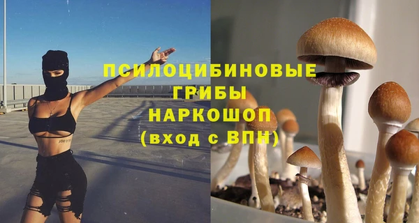 apvp Нея